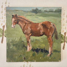 Open Fields