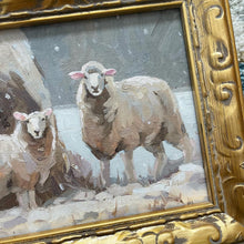 Frosted Sheep