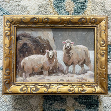 Frosted Sheep