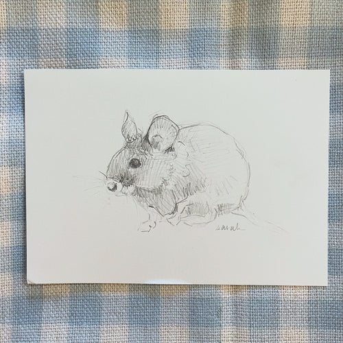 Garden Mouse