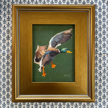 Free Flying