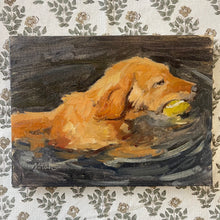 Water Dog