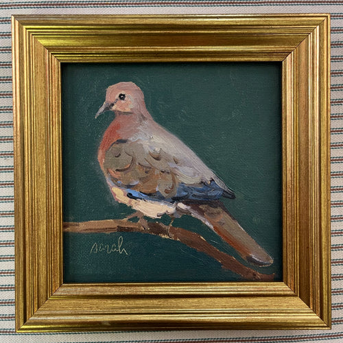 Mourning Dove