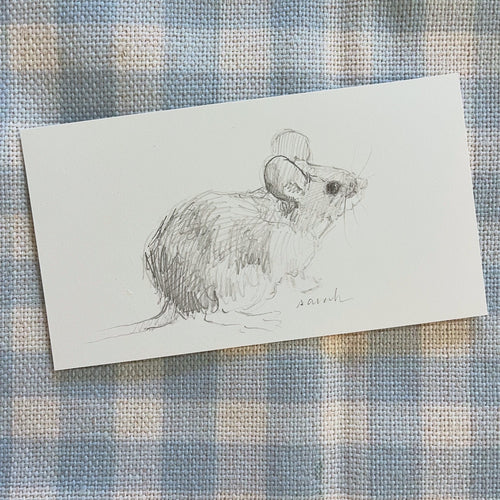 Field Mouse
