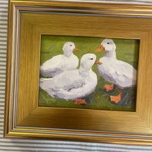 The Quack Pack