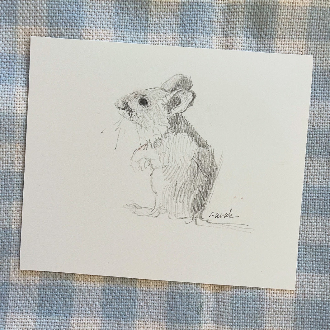 Country Mouse