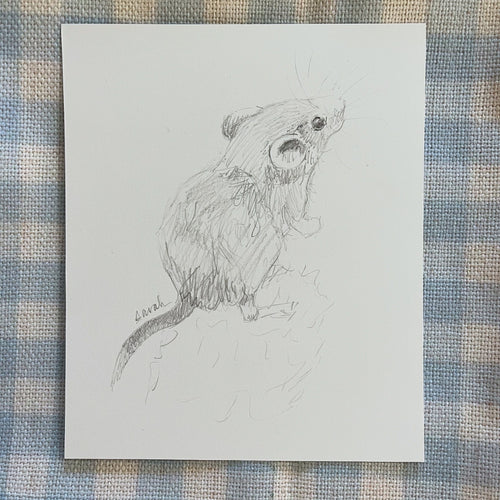Meadow Mouse