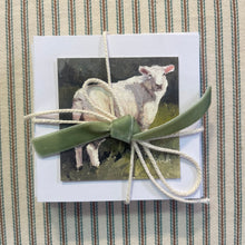 Favorites Notecard Collection 2025