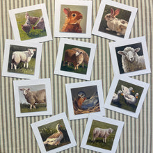 Favorites Notecard Collection 2025