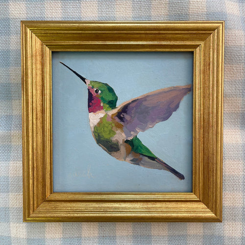 Hummingbird