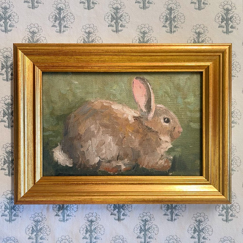 Bunny