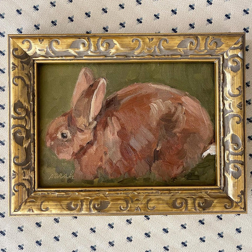 Bunny Love
