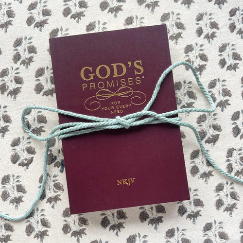 God's Promises Book