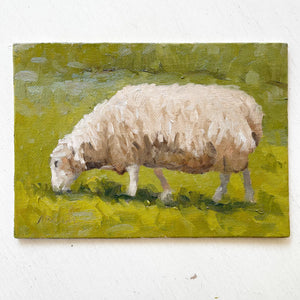 No. 47 Sheep