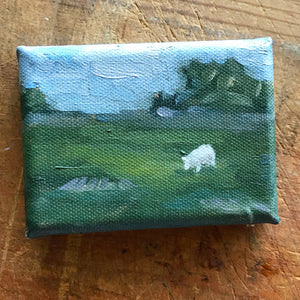 Mini meadow with sheep