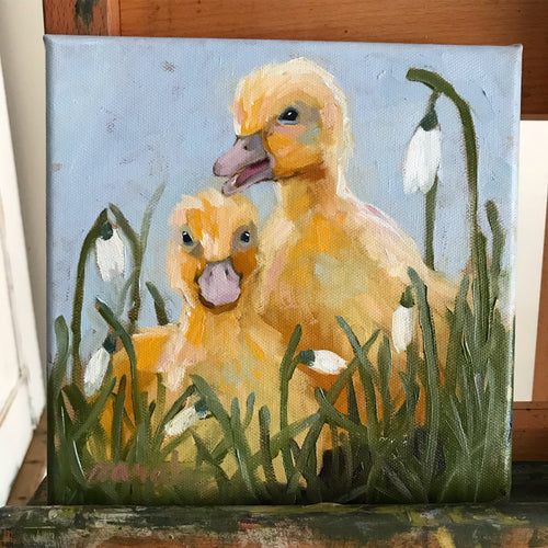 Ducklings