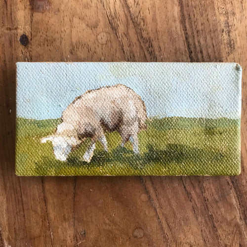 Sheep Pasture