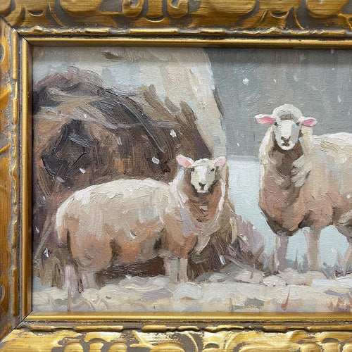 Frosted Sheep