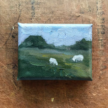 Mini meadow with sheep