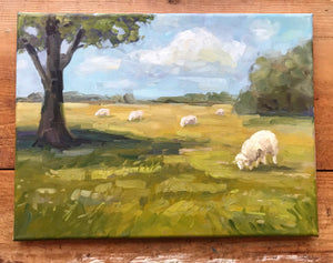 Sheep Meadow