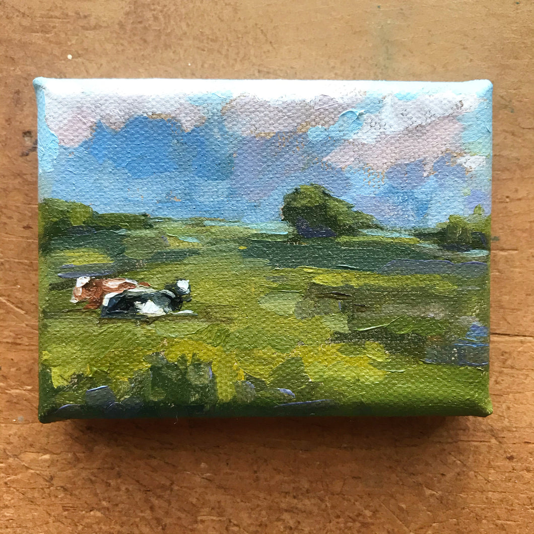 Mini Meadow