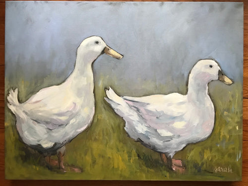 Ducks