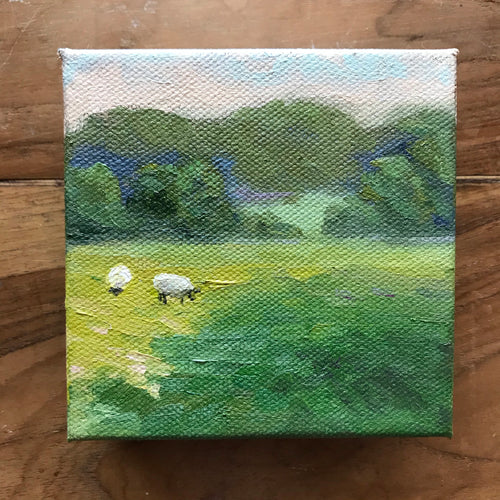 Mini Meadow