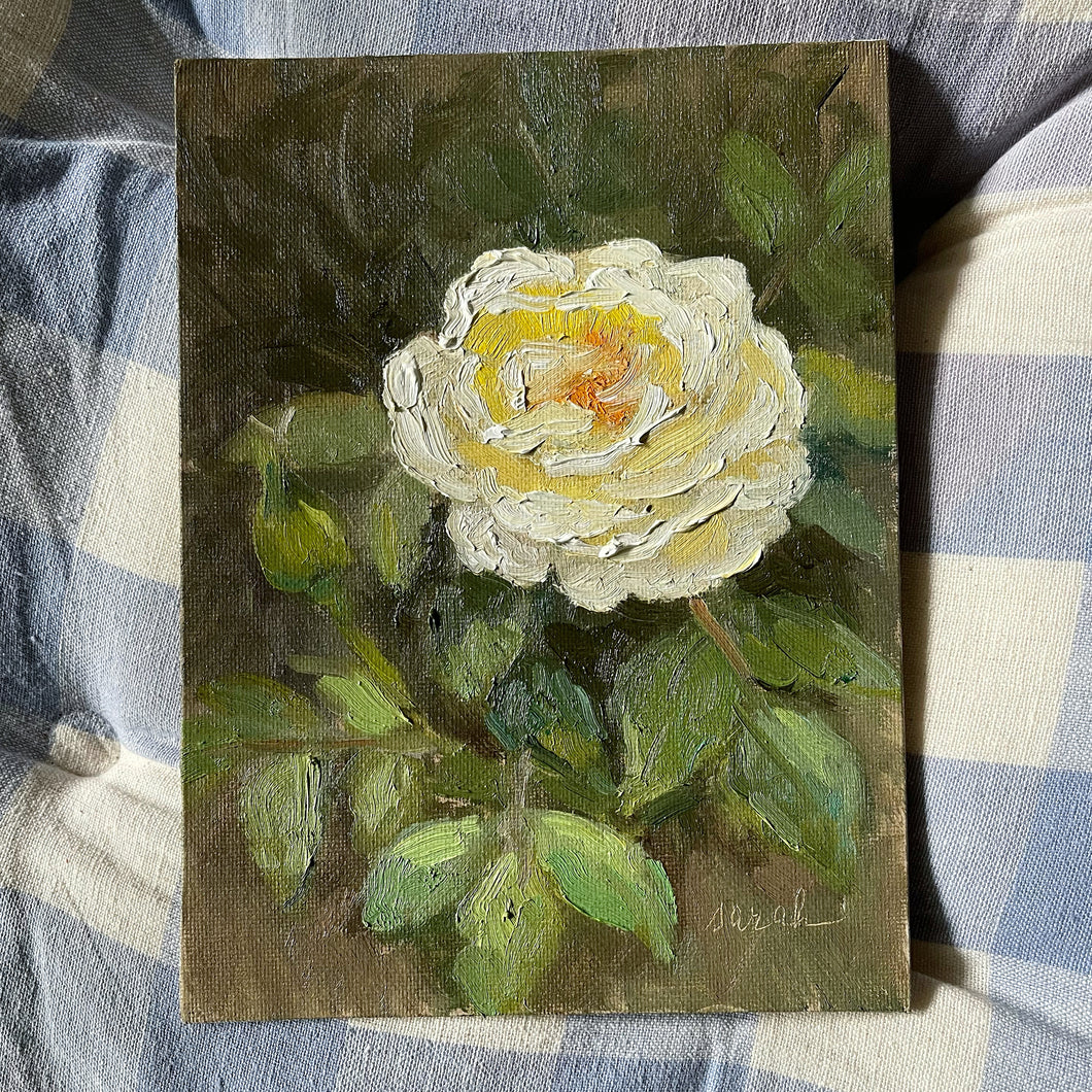 No. 1 Garden Rose