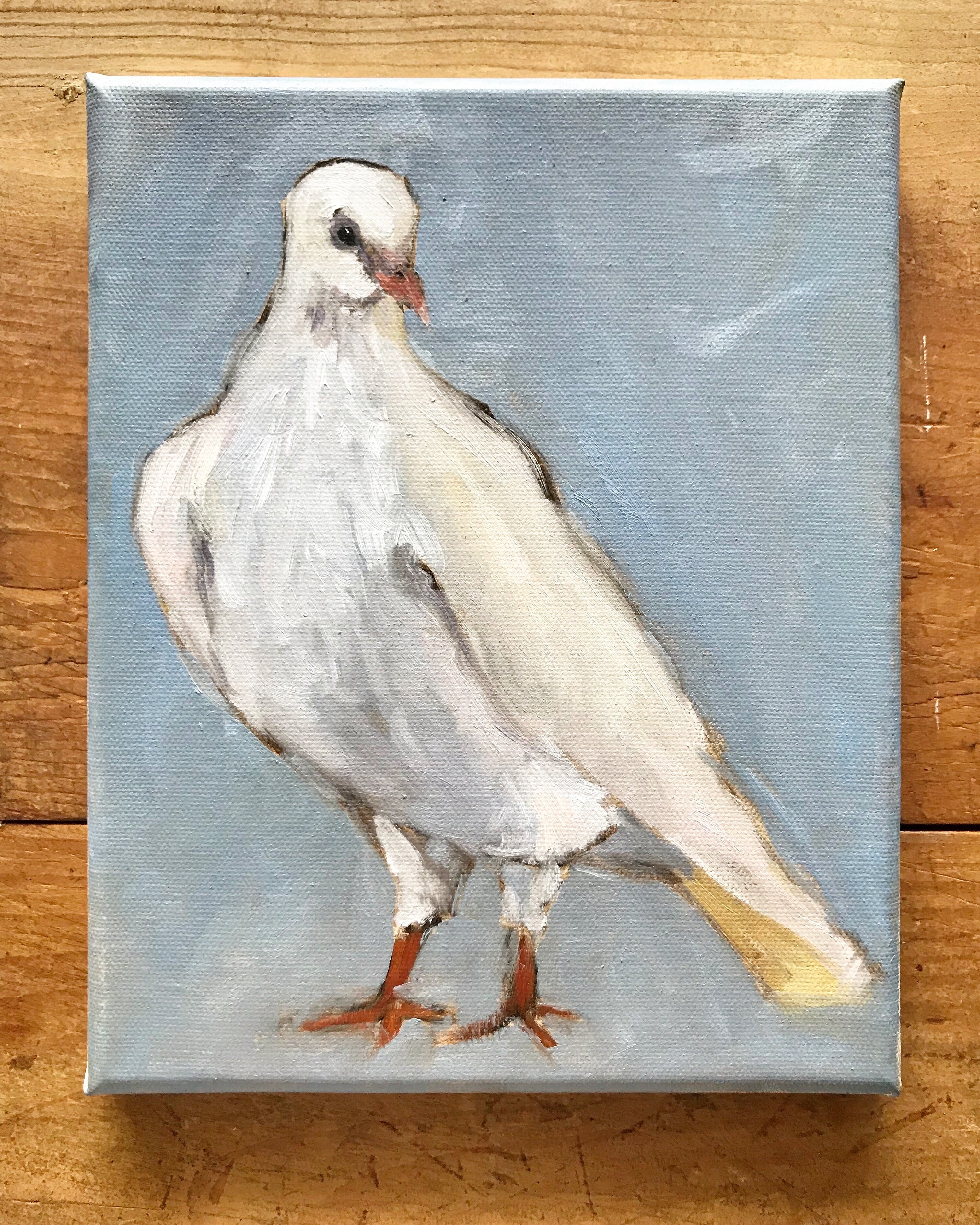 Dove – Sarah Elizabeth Art