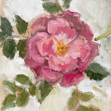 No. 12 Garden Rose