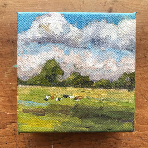 Mini Meadow