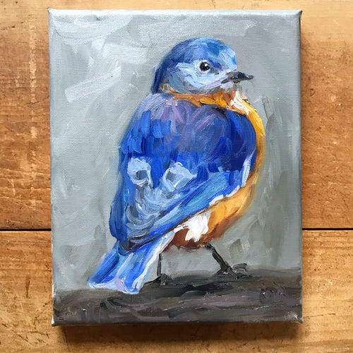 Bluebird