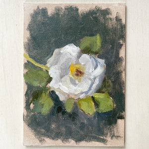 No. 11 Garden Rose