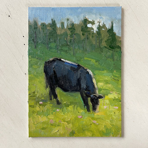 No. 19 Cow