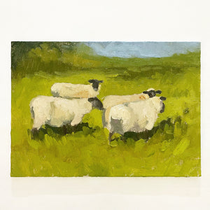 No. 39 Sheep Pasture