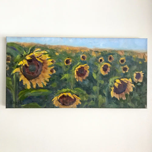 Sunflower field