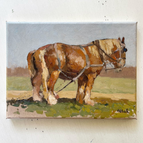 Draft Horses