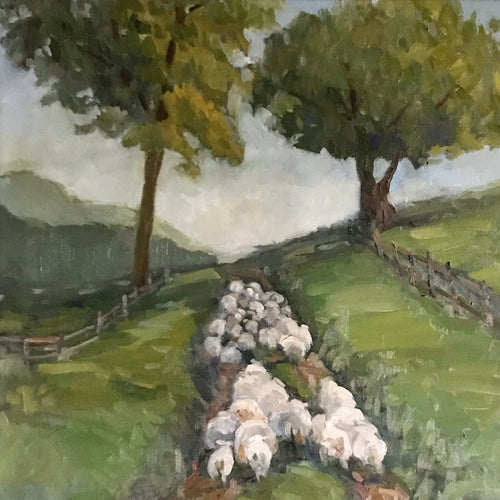 Sheep herd